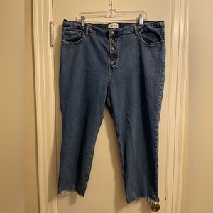 Abercrombie and Fitch The Mom High Rise Blue Denim Jean Size 35/20 Short